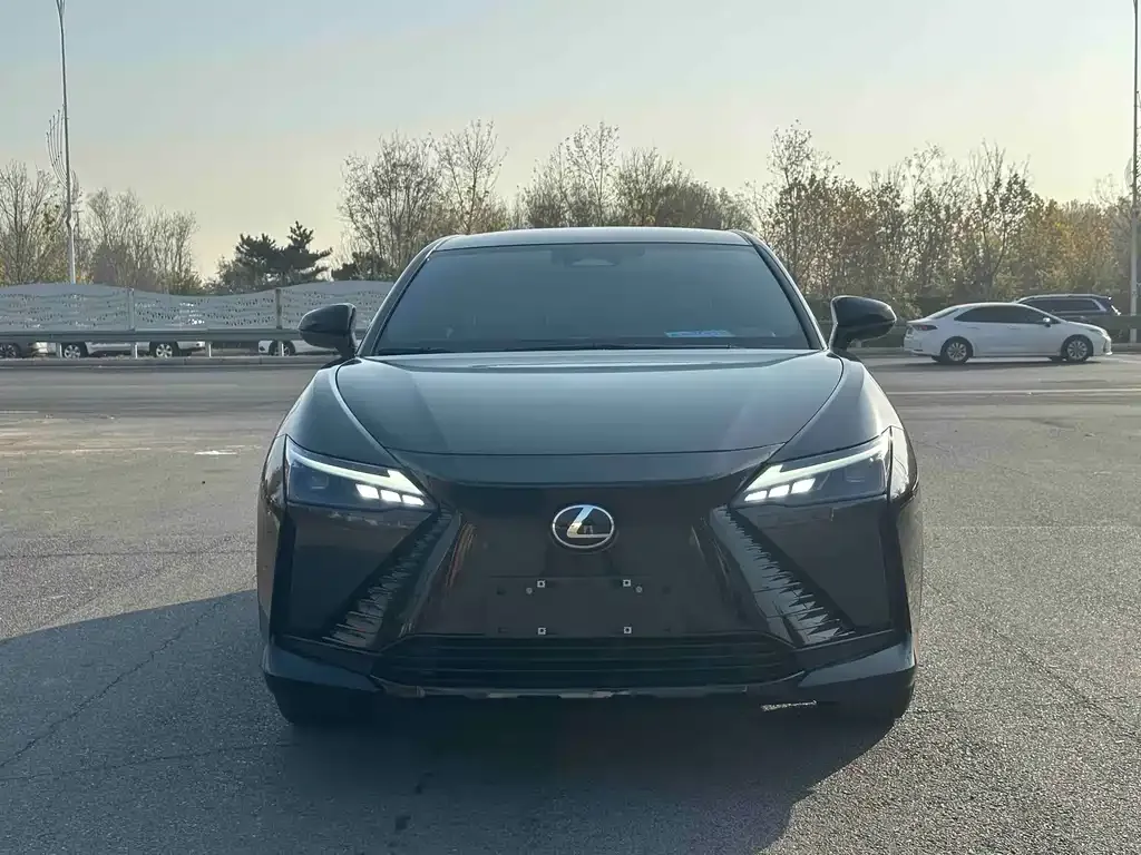 Lexus RZ — фото 2
