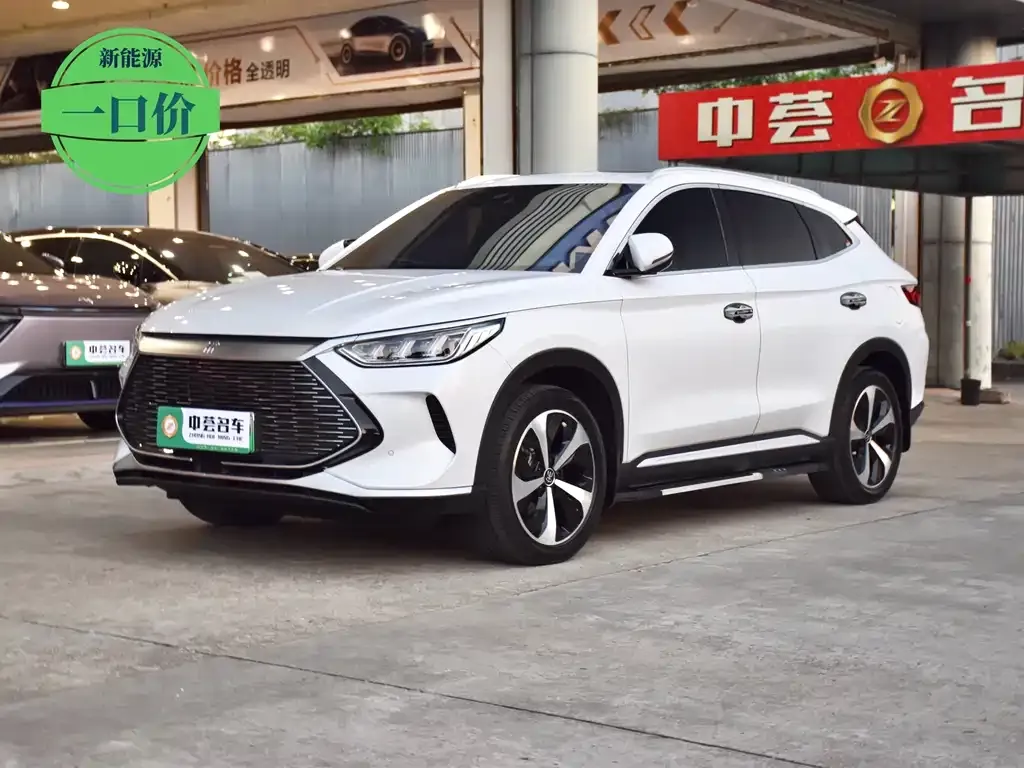 BYD PLUS New Energy — фото 1