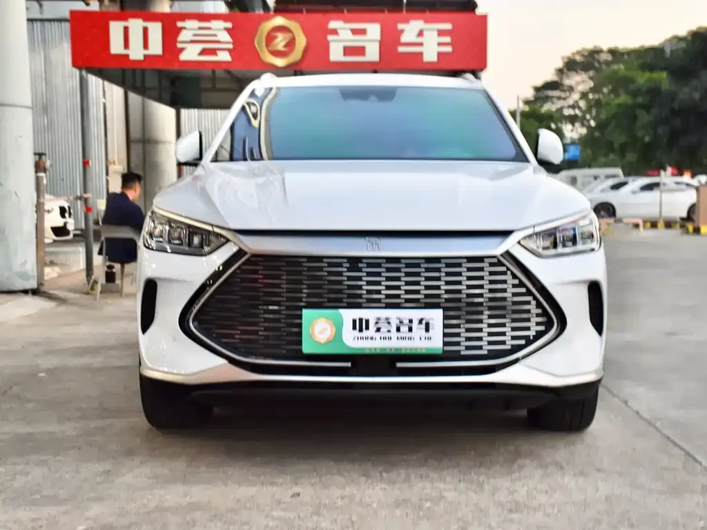 BYD PLUS New Energy — фото 2