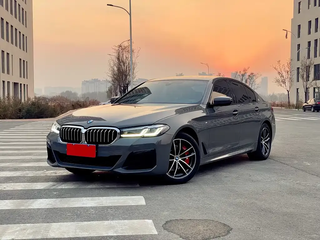 BMW 5 Series (Import) — фото 1