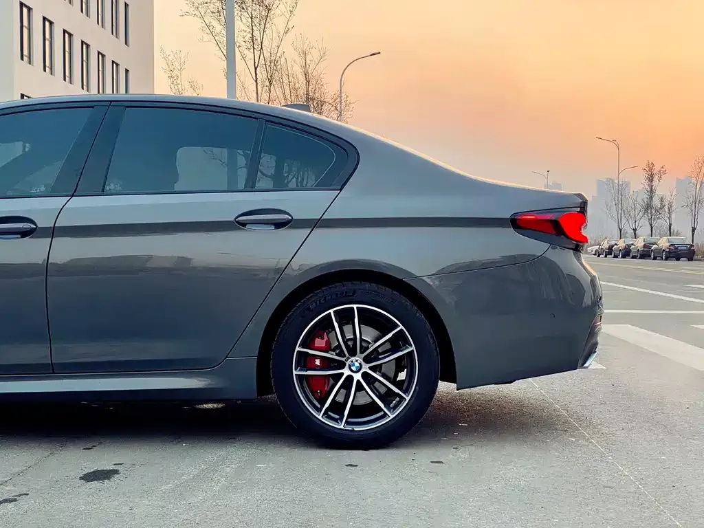 BMW 5 Series (Import) — фото 9