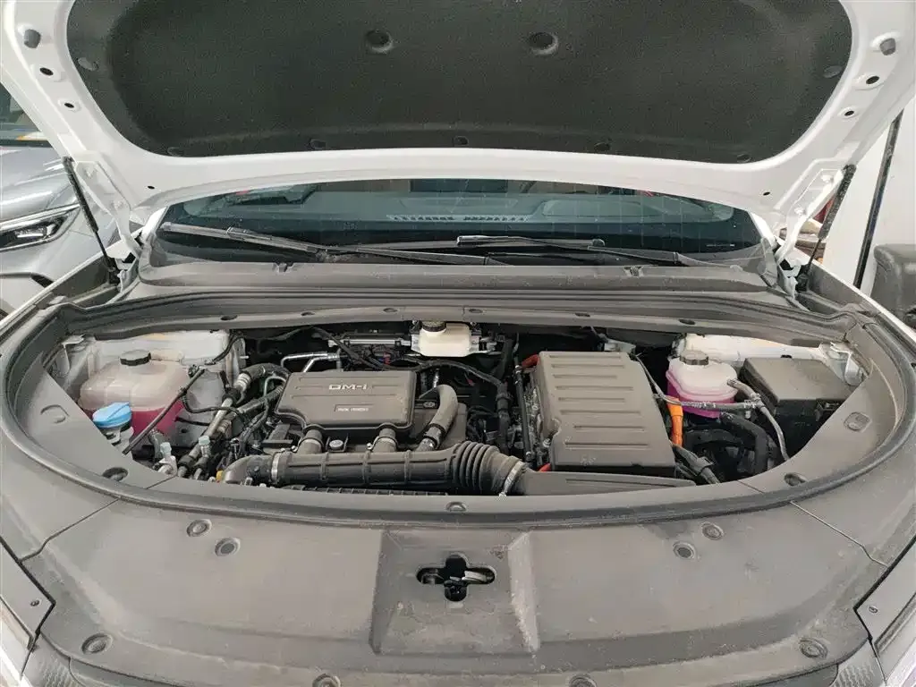 BYD L DM-i — фото 10
