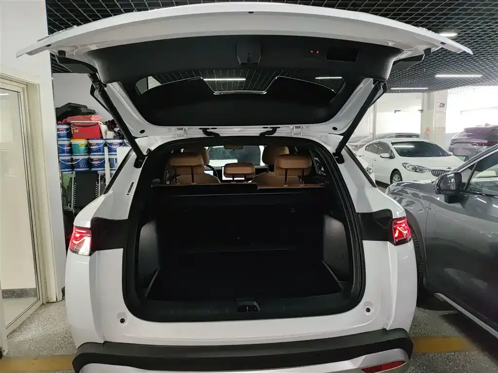BYD L DM-i — фото 9