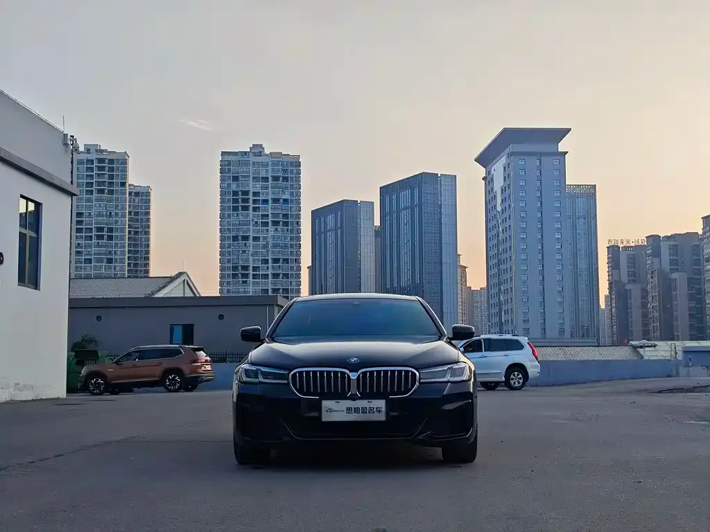 BMW 5 Series New Energy — фото 2