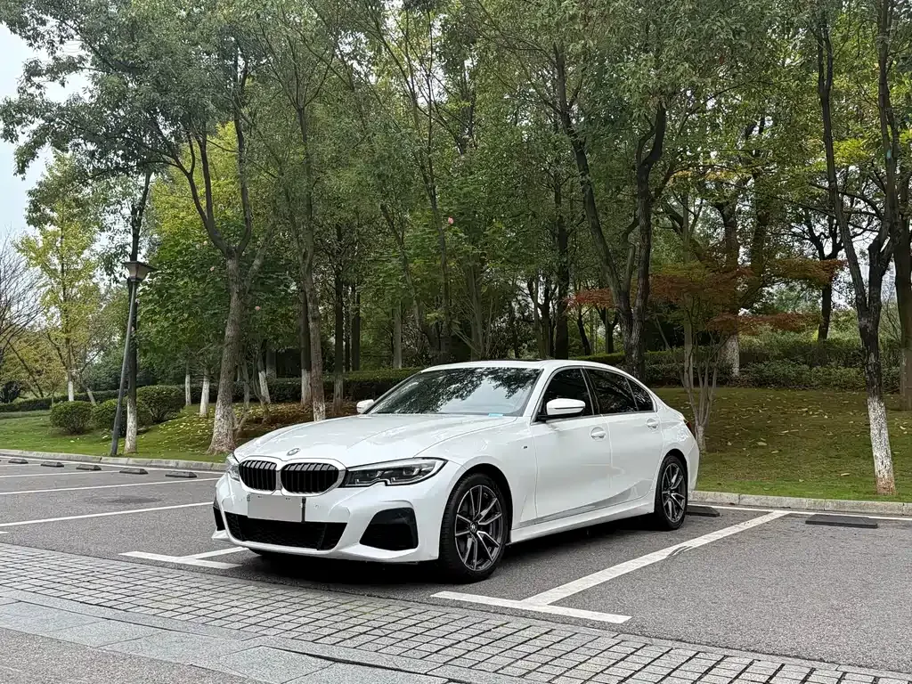 BMW 3 Series — фото 1