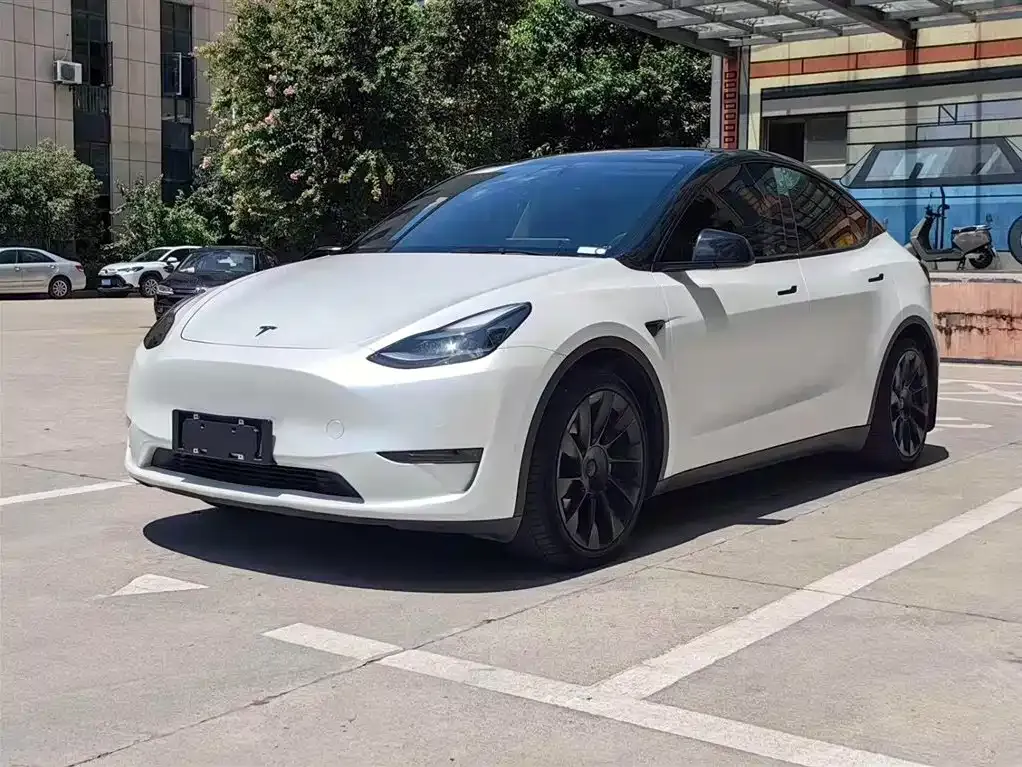 Tesla Model Y — фото 1