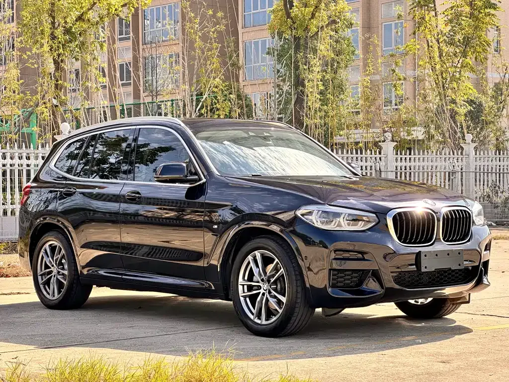 BMW X3 — фото 2