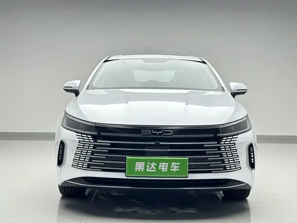 BYD Destroyer 05 — фото 2