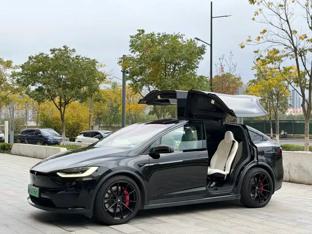 Tesla Model X — фото 1