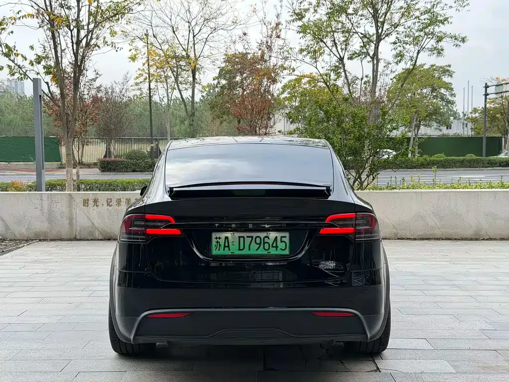 Tesla Model X — фото 10