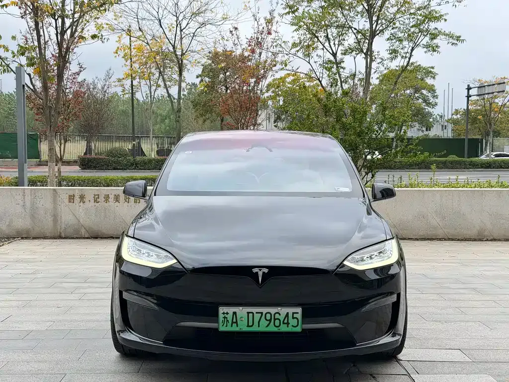 Tesla Model X — фото 2