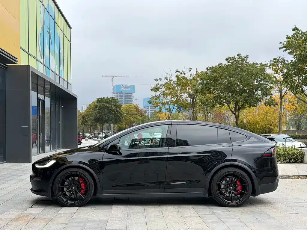 Tesla Model X — фото 4