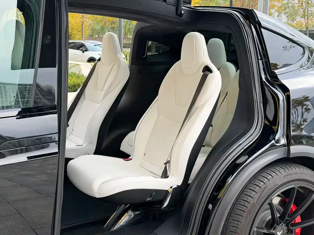 Tesla Model X — фото 5
