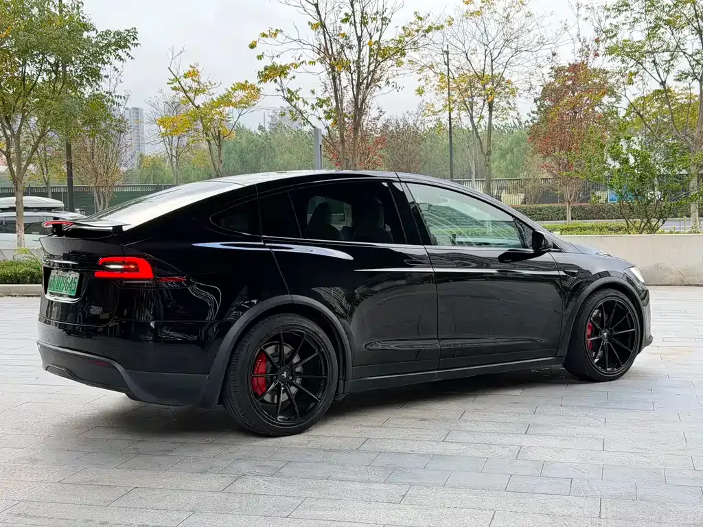 Tesla Model X — фото 9