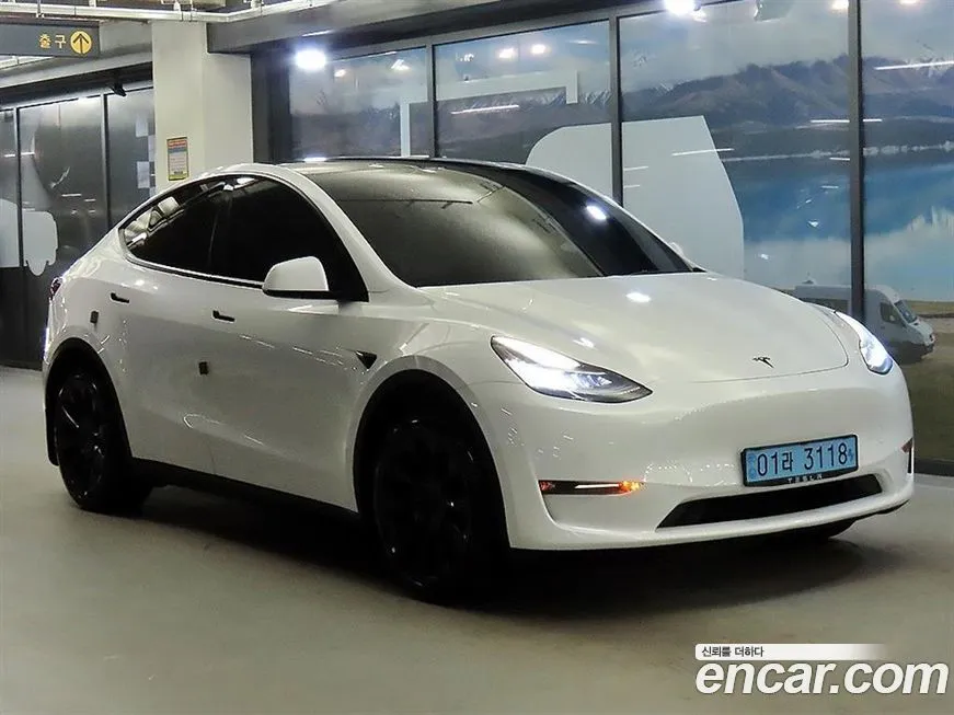 Tesla Model Y — фото 1