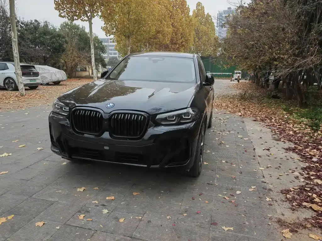 BMW iX3 — фото 1