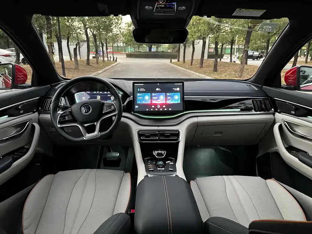 BYD PLUS New Energy — фото 4