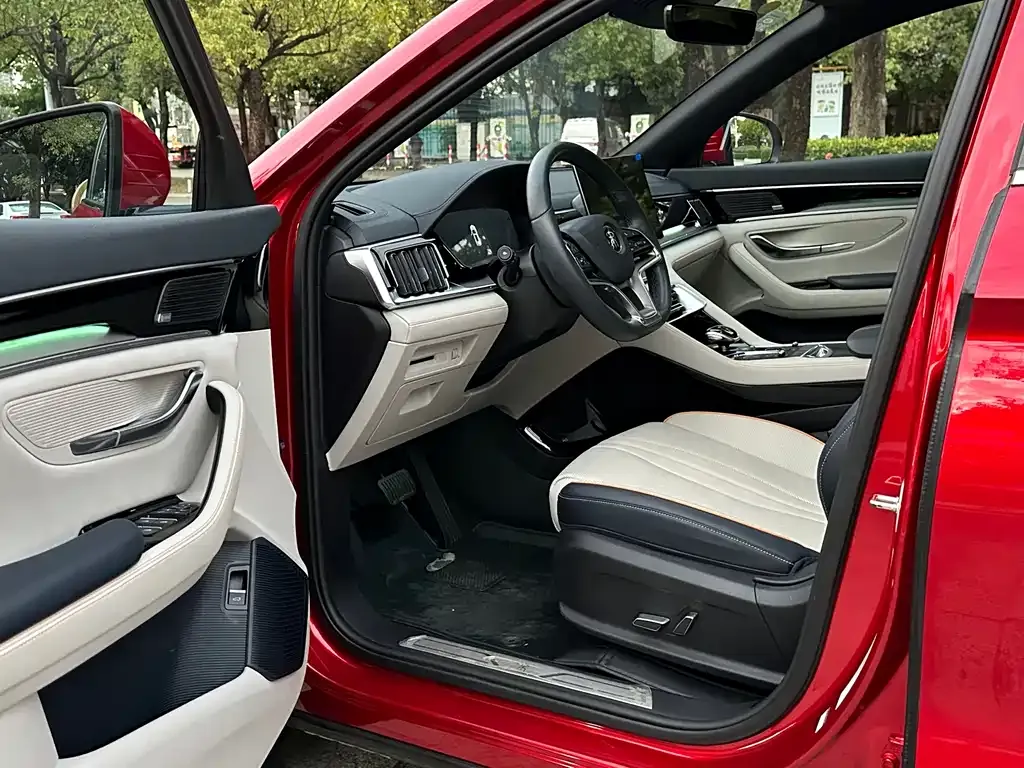 BYD PLUS New Energy — фото 5