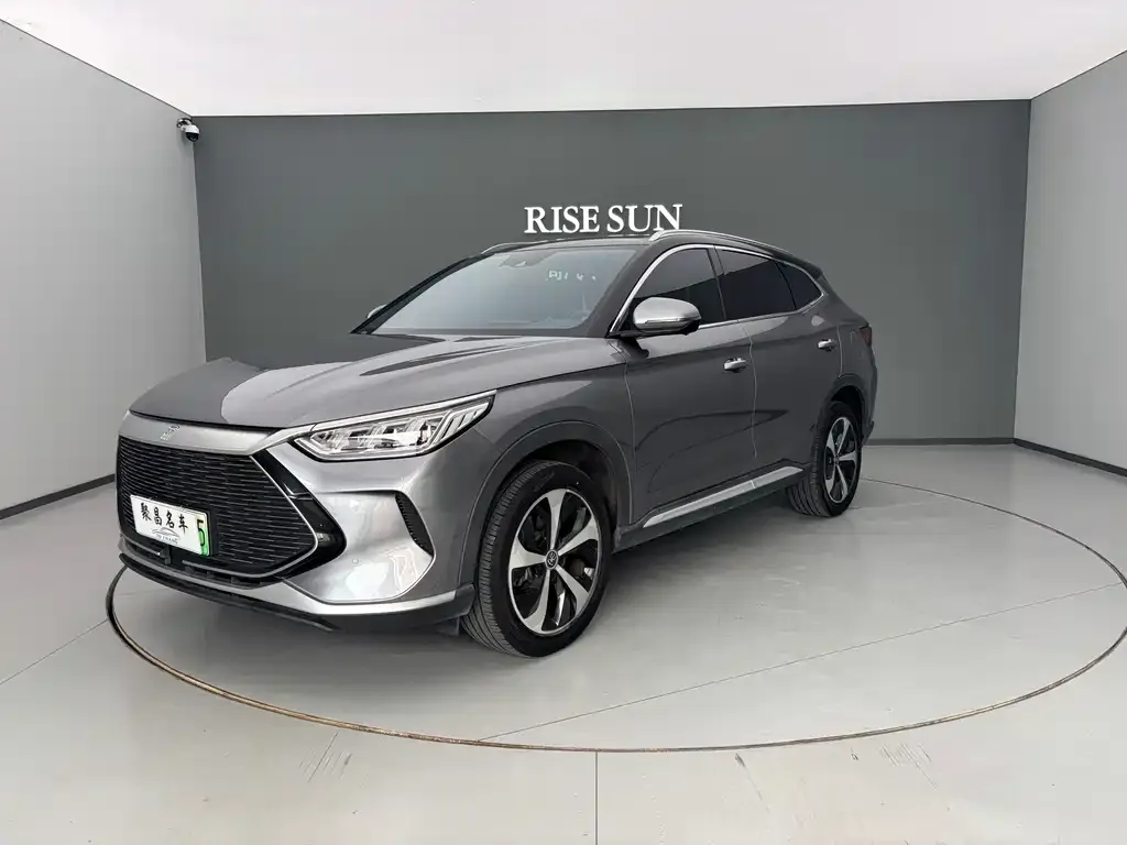 BYD PLUS New Energy — фото 1