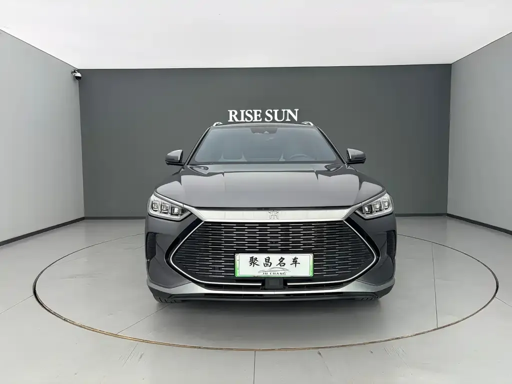 BYD PLUS New Energy — фото 2
