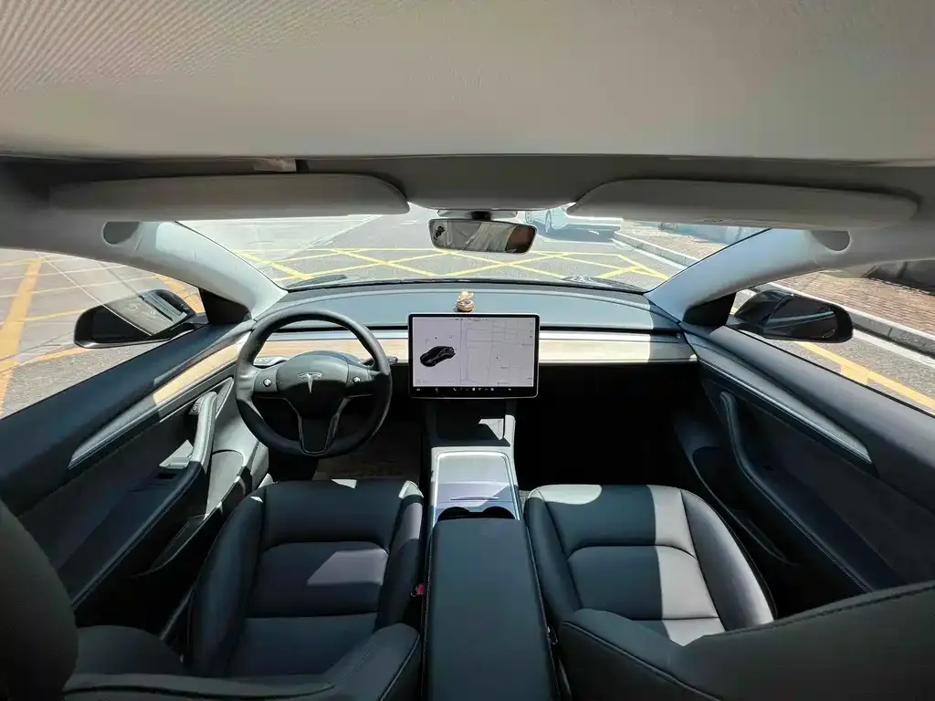 Tesla Model 3 — фото 6