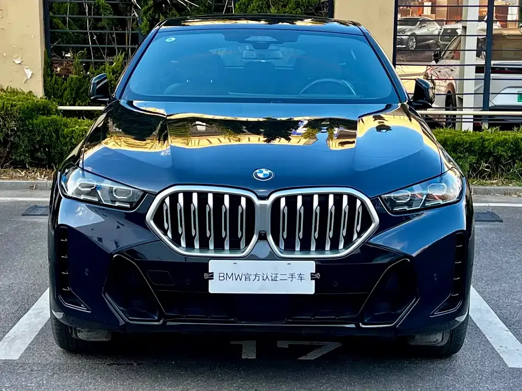 BMW X6 — фото 3