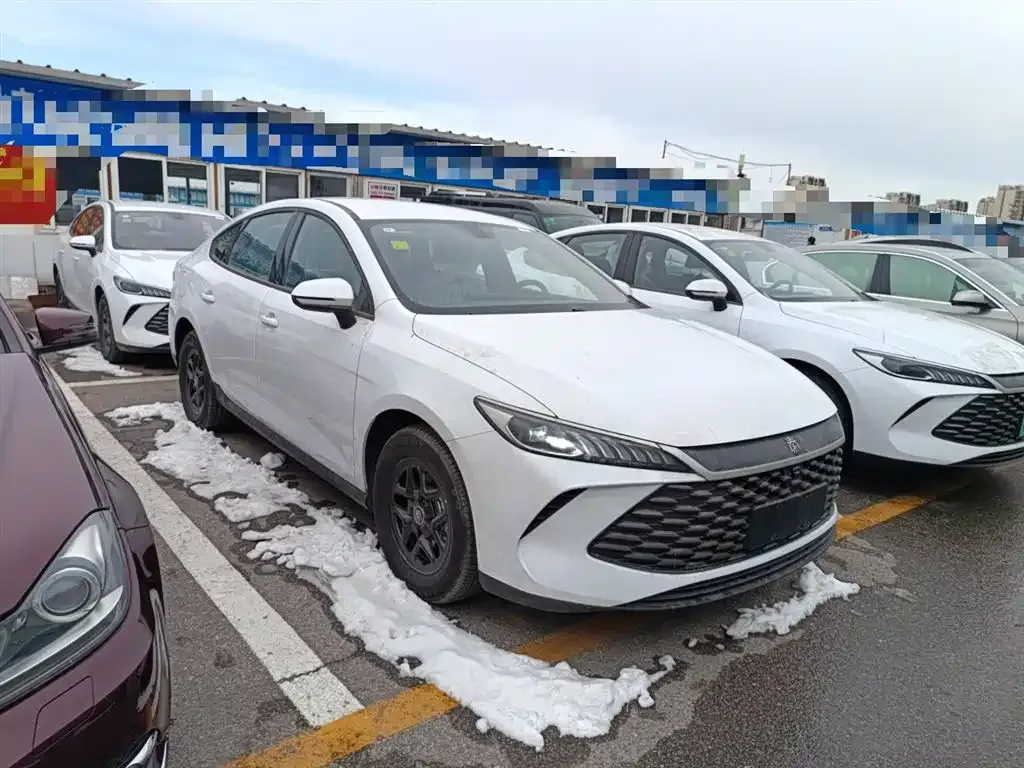 BYD Qin PLUS — фото 4