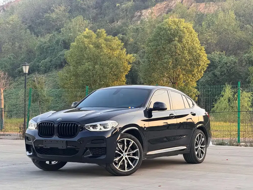 BMW X4 — фото 1