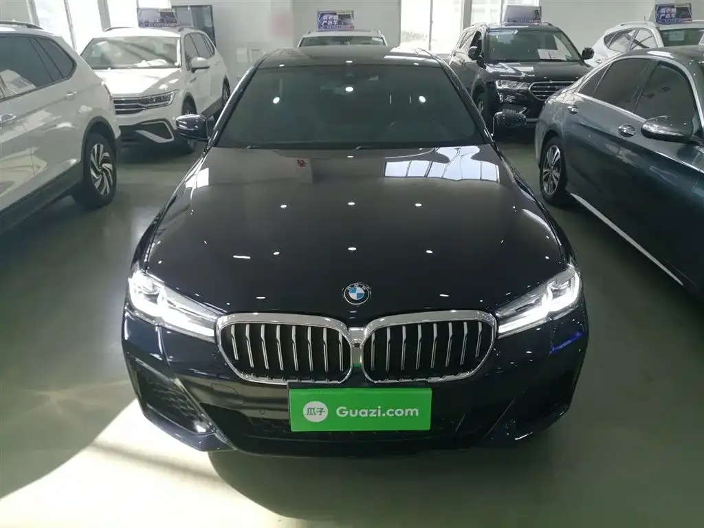 BMW 5 Series (Import) — фото 3