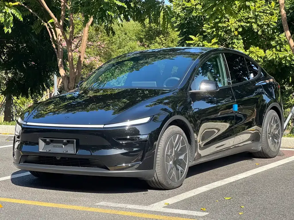 Tesla Model Y L — фото 1
