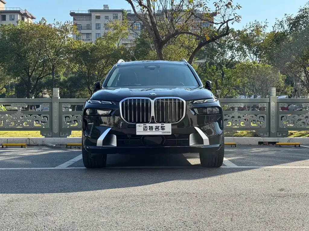 BMW X7 — фото 2