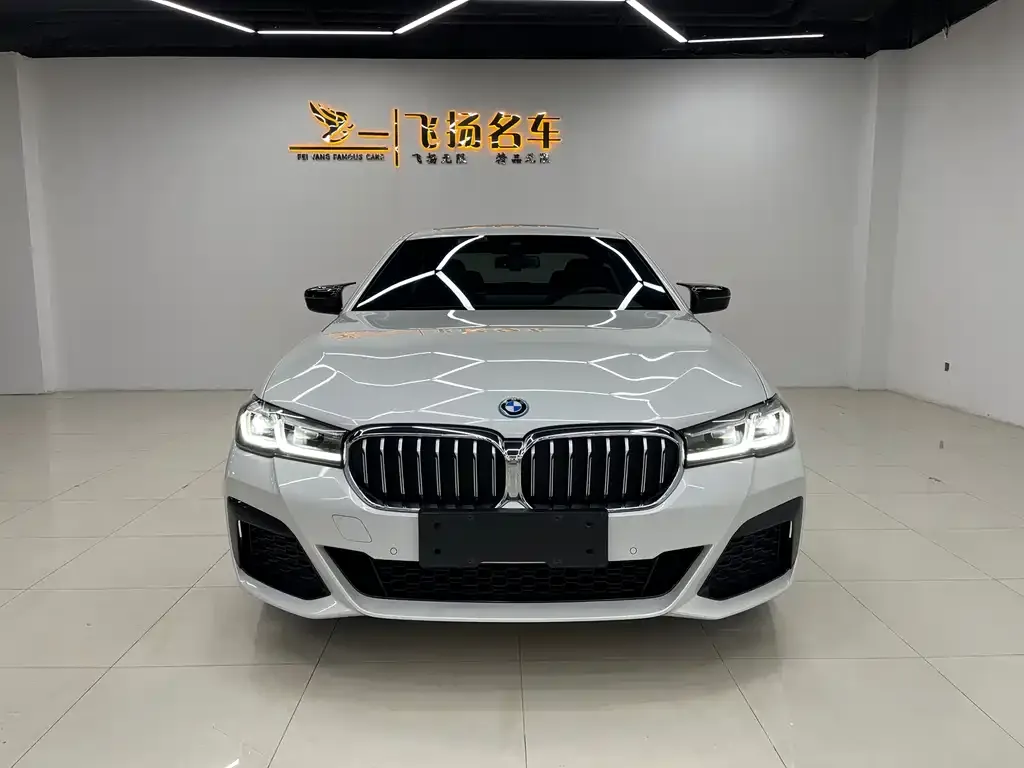 BMW 5 Series New Energy — фото 2