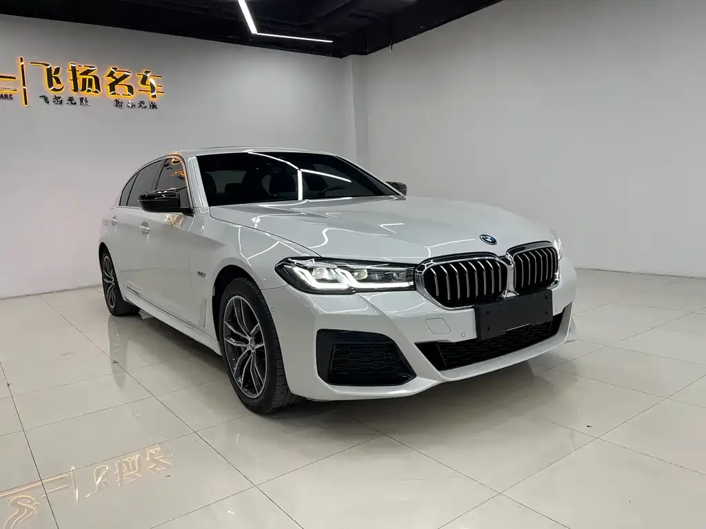 BMW 5 Series New Energy — фото 3