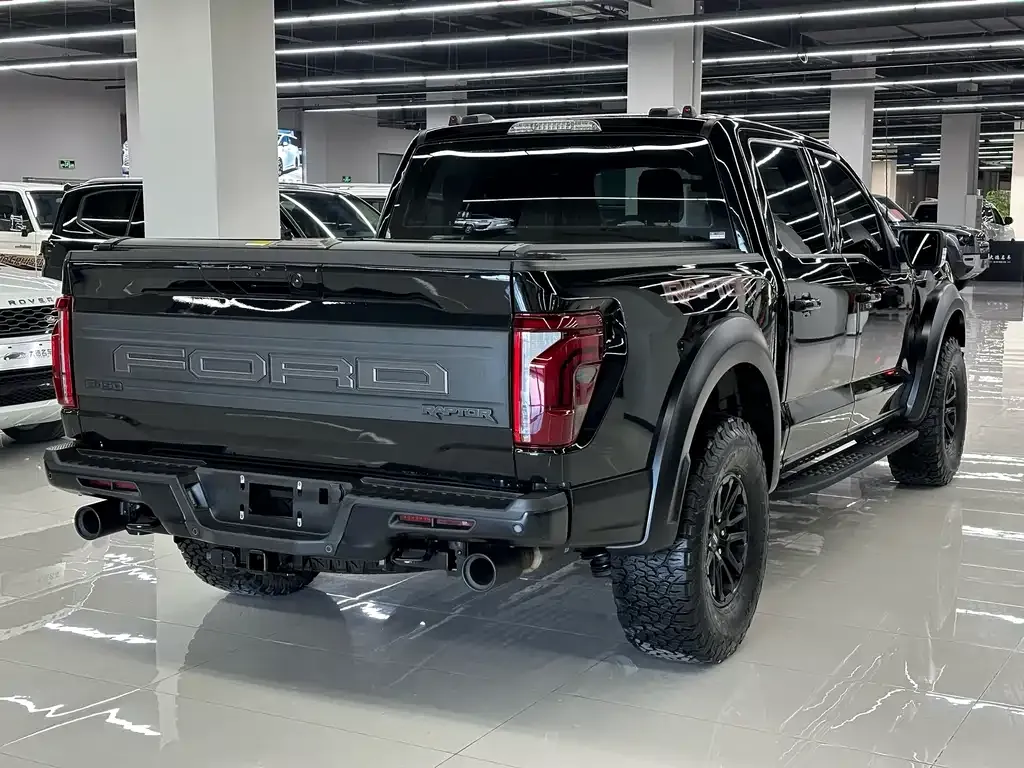 Ford F-150 Raptor — фото 6