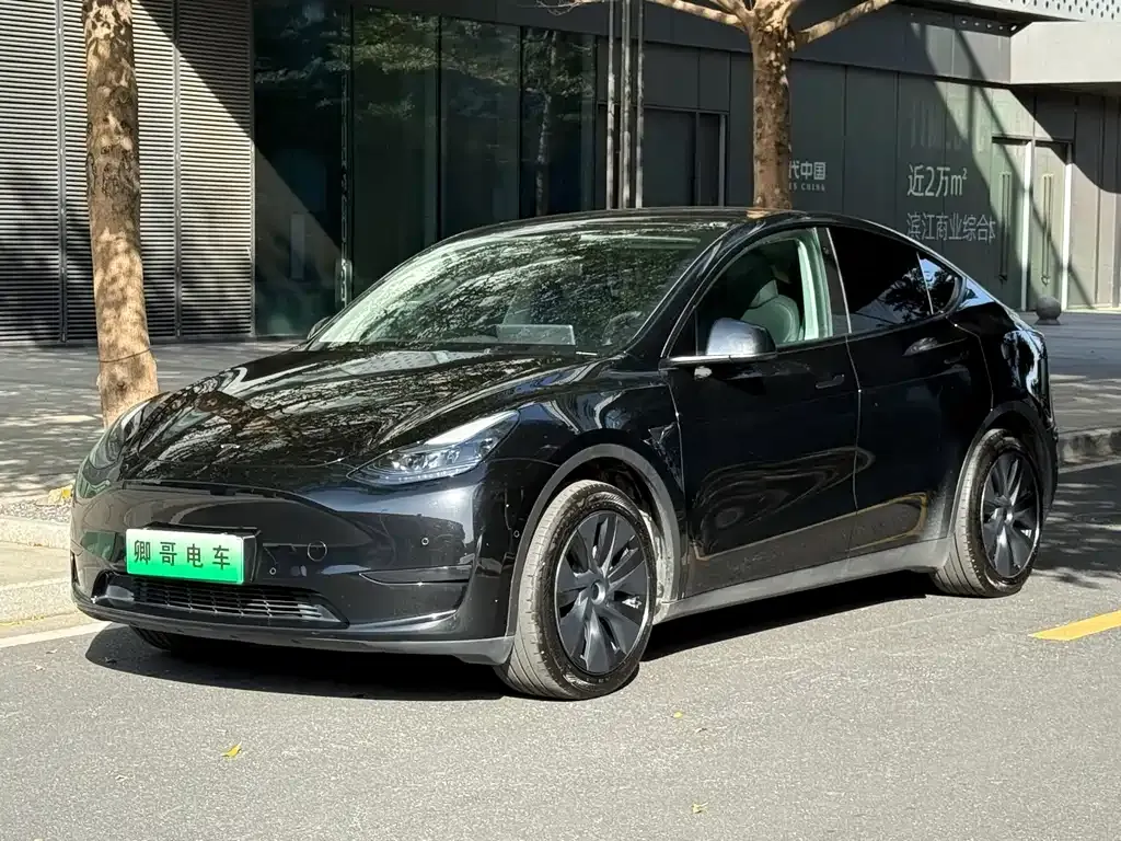 Tesla Model Y — фото 1