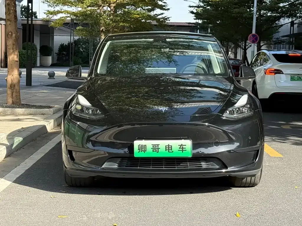 Tesla Model Y — фото 2