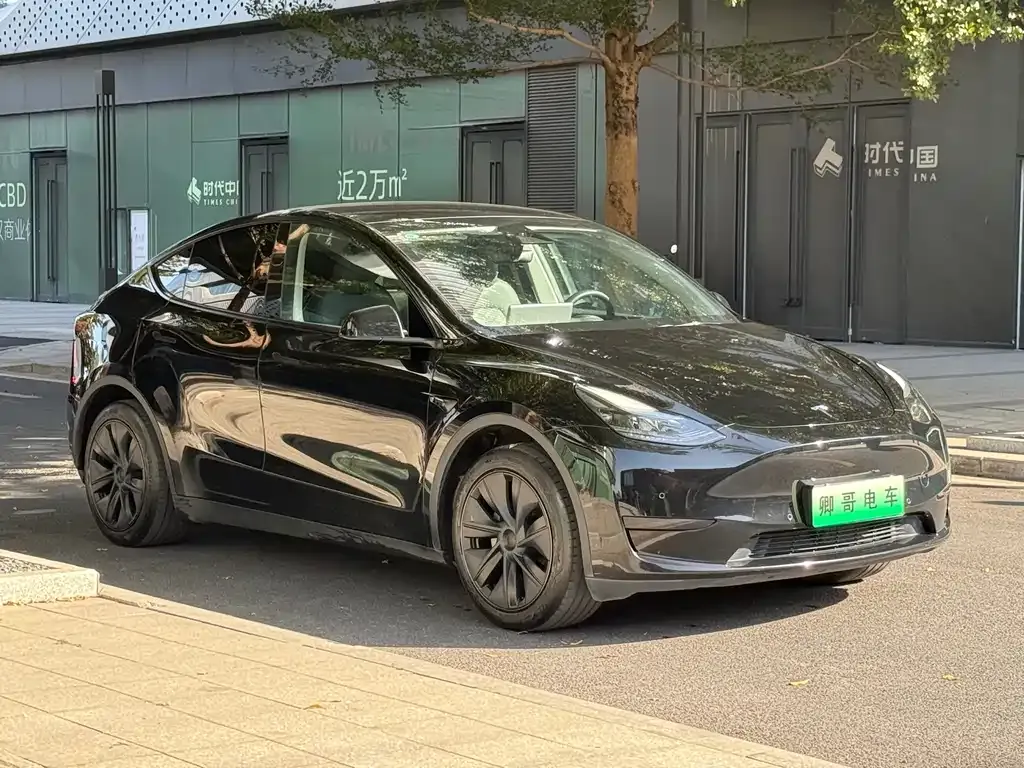 Tesla Model Y — фото 3