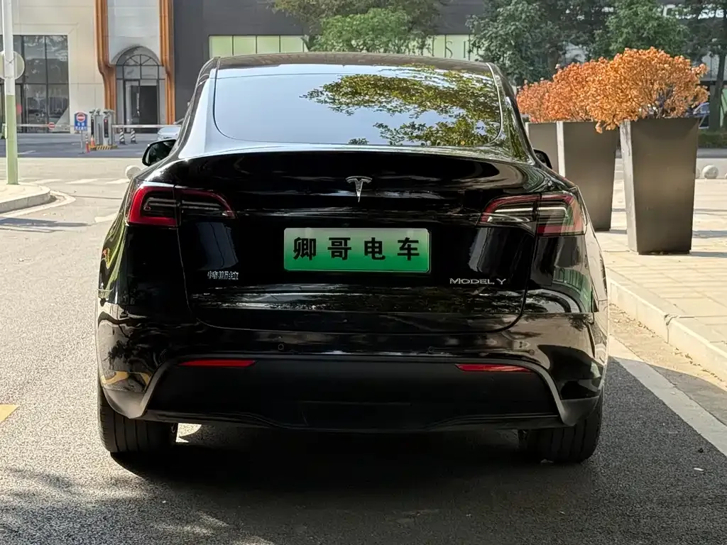 Tesla Model Y — фото 5