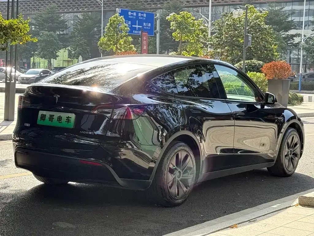 Tesla Model Y — фото 6