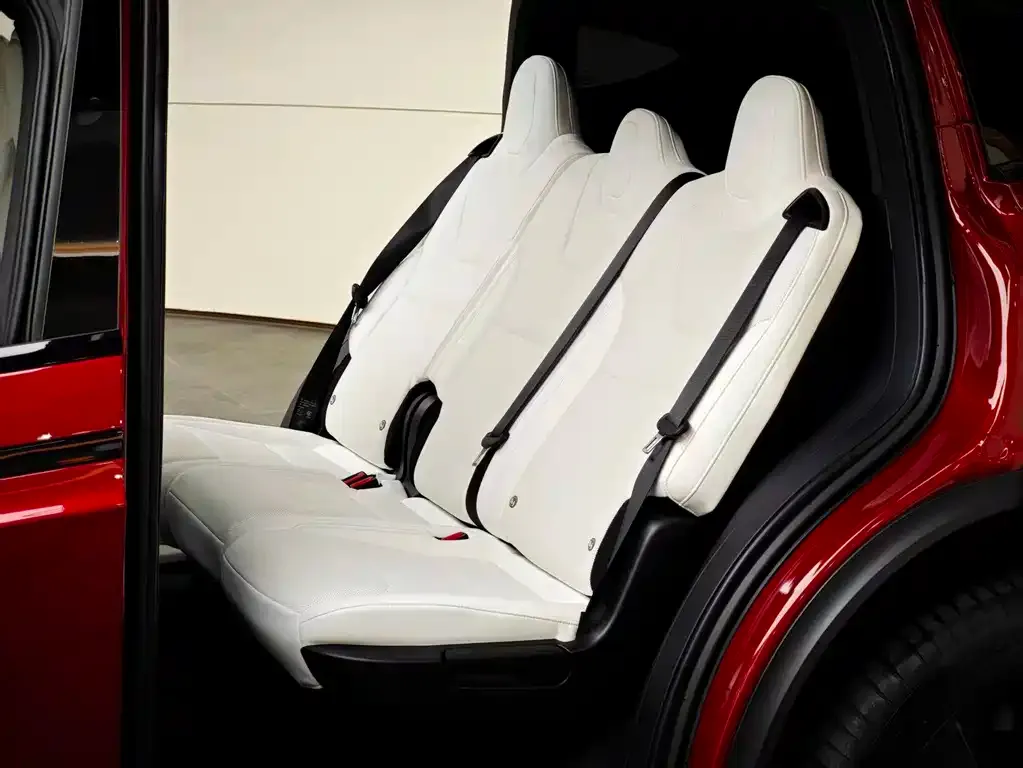 Tesla Model X — фото 10