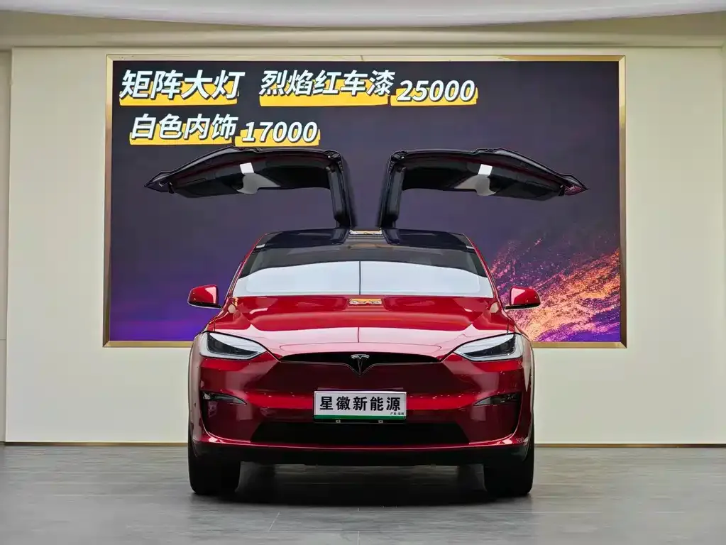 Tesla Model X — фото 2