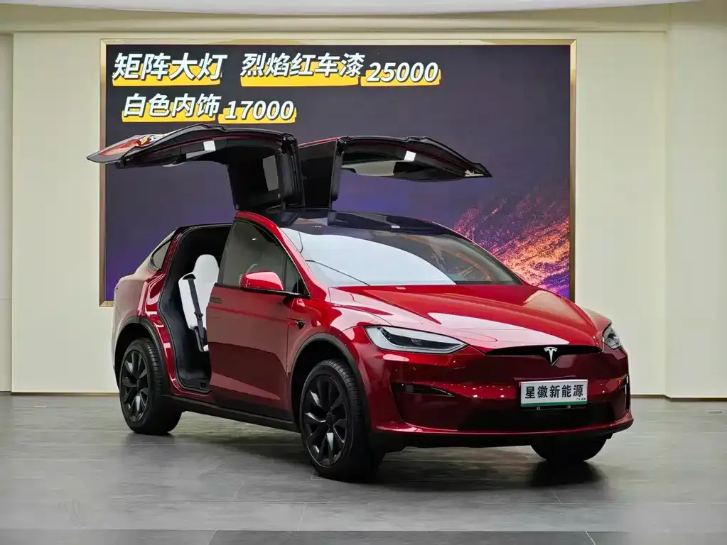 Tesla Model X — фото 3