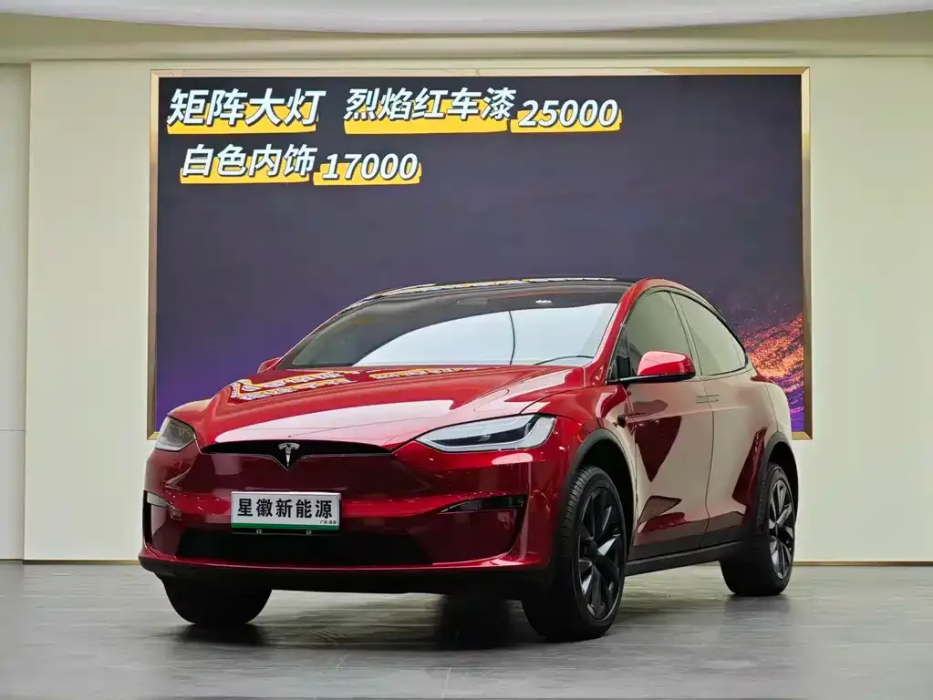 Tesla Model X — фото 5