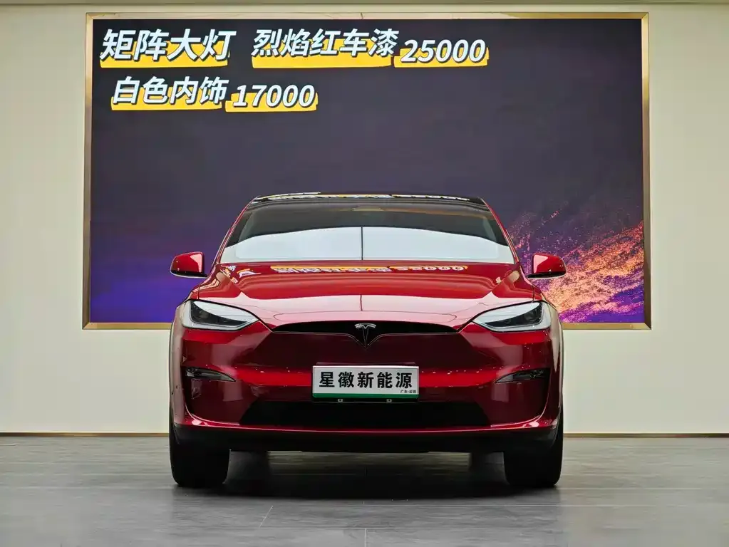 Tesla Model X — фото 6