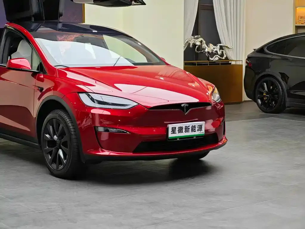 Tesla Model X — фото 7