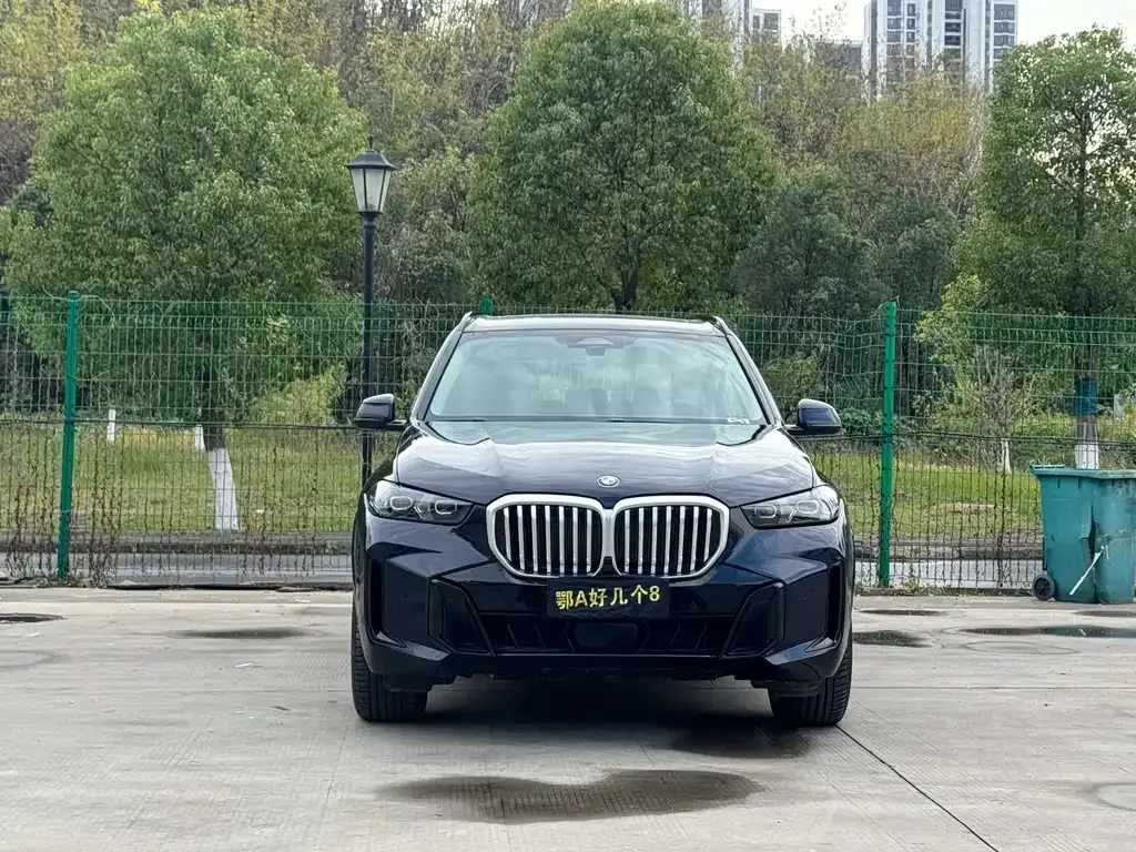 BMW X5 — фото 2