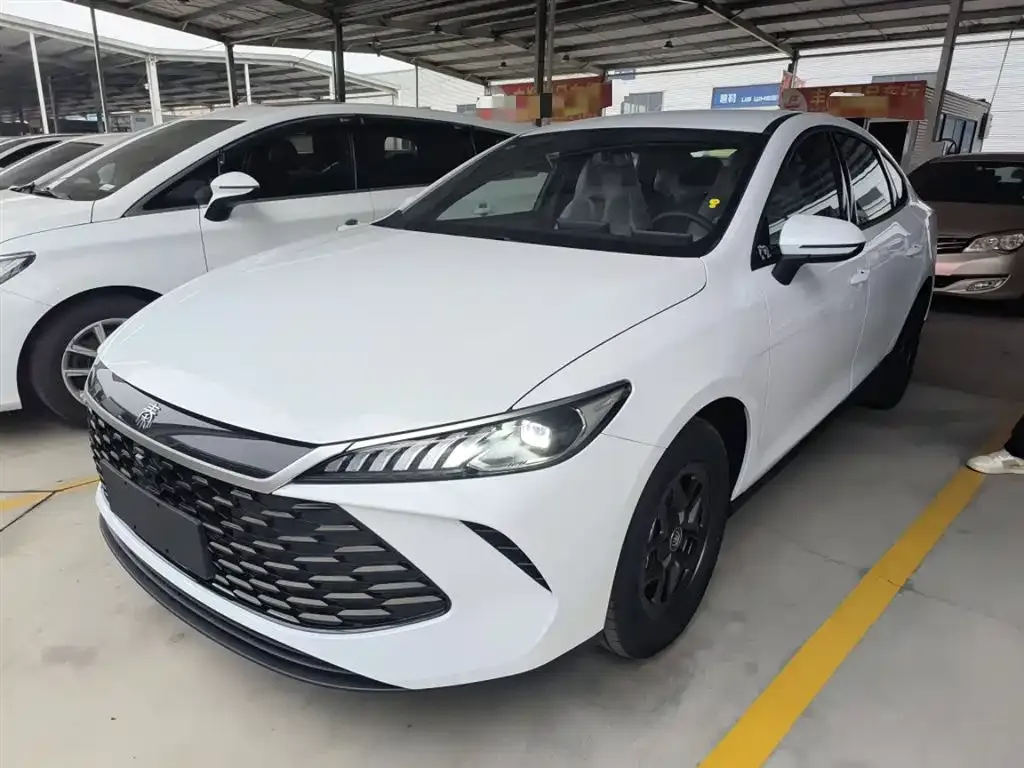 BYD Qin PLUS — фото 2