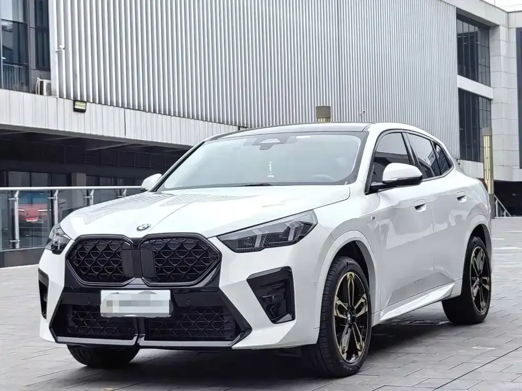 BMW X2 (Import) — фото 1