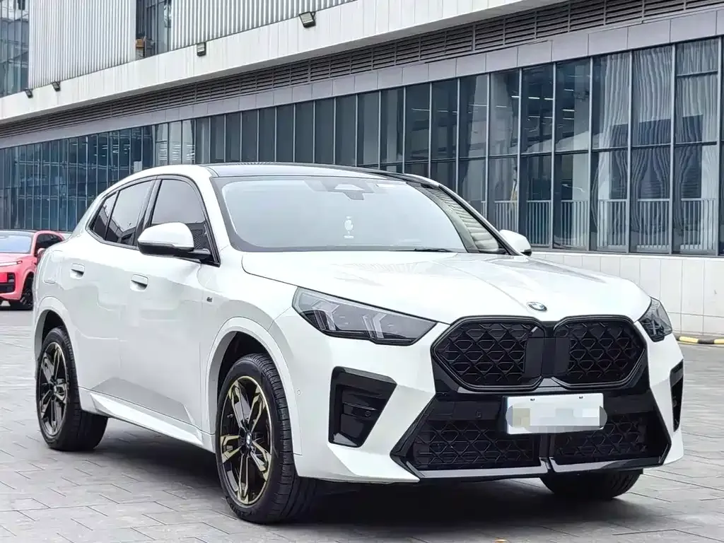 BMW X2 (Import) — фото 3
