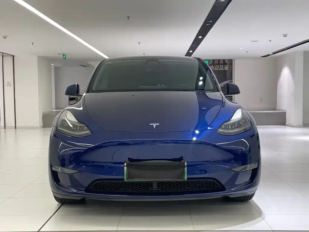 Tesla Model Y — фото 2